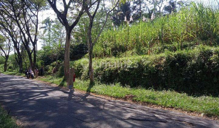 Tanah Murah Luas Lokasi Pinggir Jalan Raya Dekat Kawasan Wisata 1