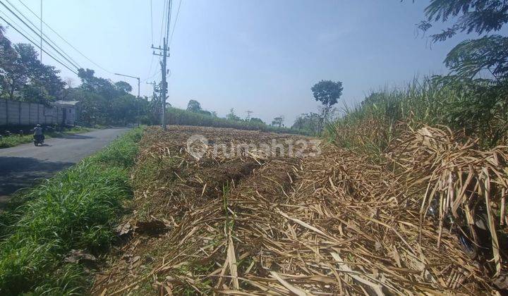 Tanah Luas di Singosari Lokasi Strategis Bisa Untuk Industri 2