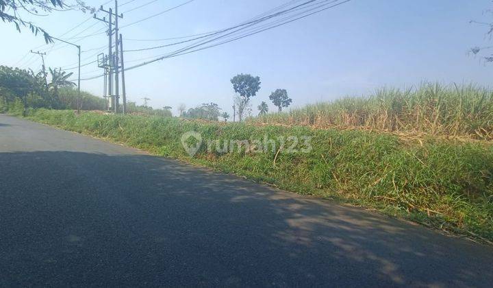 Tanah Luas di Singosari Lokasi Strategis Bisa Untuk Industri 1