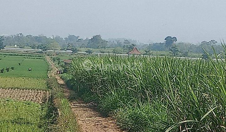 Tanah Sawah Murah Bisa Untuk Perumahan Atau Industri 2