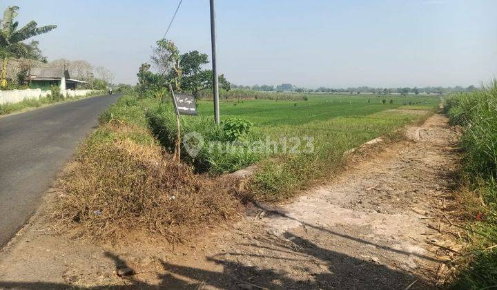 Tanah Sawah Murah Bisa Untuk Perumahan Atau Industri 1