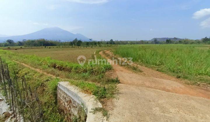 Tanah legalitas SHM dengan luas 2000 m² 1