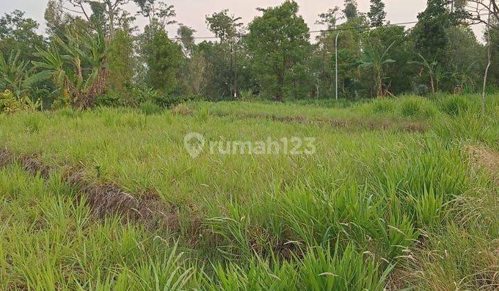 Tanah Dengan Luas 1 hectare,Legalitas SHM 1