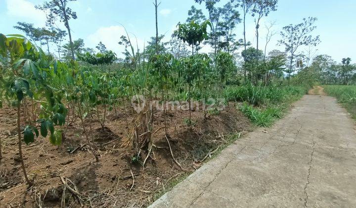 Tanah dengan luas 2000 m² legalitas SHM 2