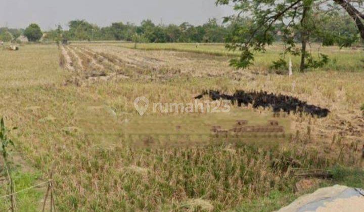 Jual Tanah Industri Lokasi dekat bandara kertajati Majalengka 2