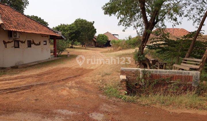 Dijual Tanah Darat Ex Pabrik Genteng, Padat & Rata Siap Bangun 1