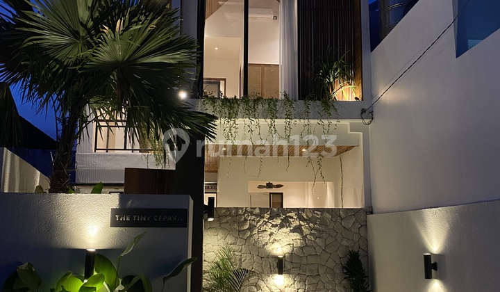 Modern Tropical Villa Cepaka Tumbak Bayuh Near Canggu Villa SHM in Cepaka