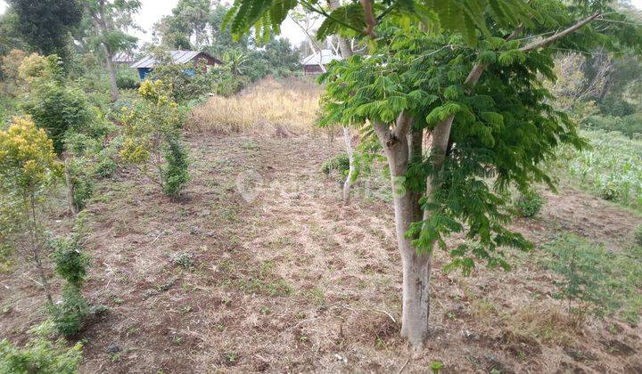 Dijual Tanah Area Kecamatan Ruteng, Manggarai 2