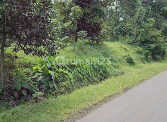 Jual Tanah di Purwakarta, Cilegon 5.849 m² Harga Nego 2