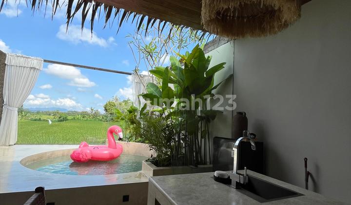 Choice 52 m2 boarding house for family investment in ring 1 Yogyakarta city Choice 52 m2 boarding house for family investment in ring 1 Yogyakarta city