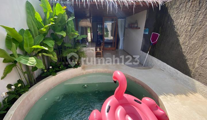 Selling & investing in the Viral Private Pool Villa business in Depok Sleman