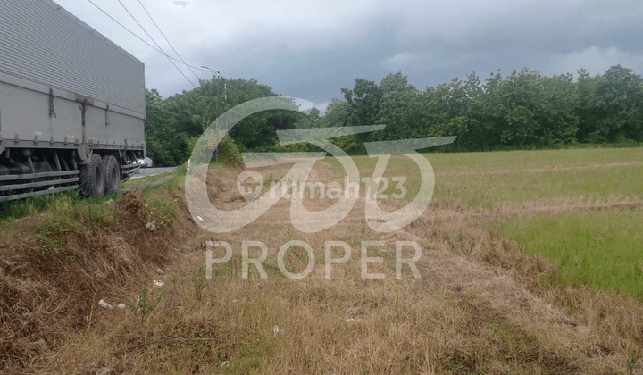 Jual Tanah SHM 10.445 m² di Jl. Raya Padangan Ngawi, Bojonegoro 1