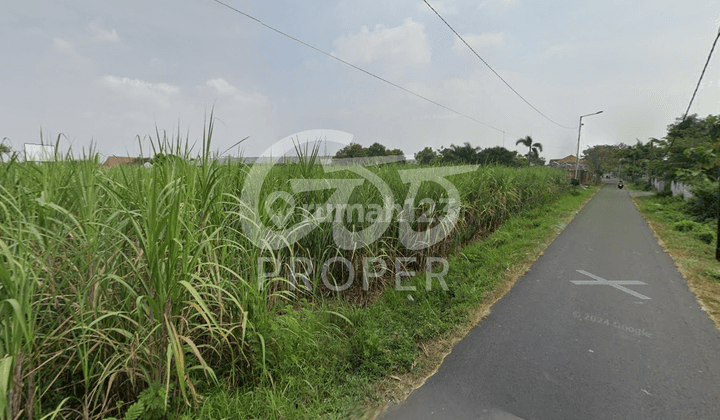 Tanah Dijual Murah di Jl Raya Trowulan Kabupaten Mojokerto 2