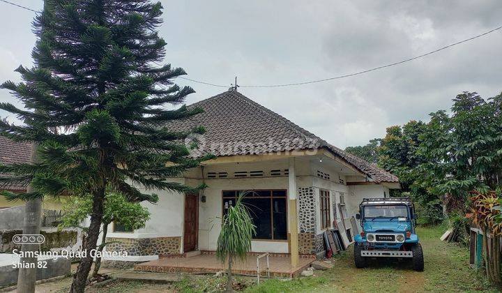 Rumah Sewa Dekat Wisata Bromo Cocok Untuk Usaha Cafe Dan Homestay 2