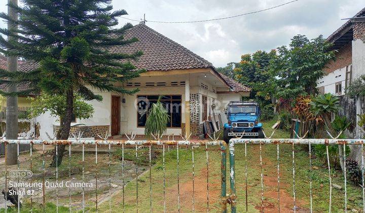 Rumah Sewa Dekat Wisata Bromo Cocok Untuk Usaha Cafe Dan Homestay 1