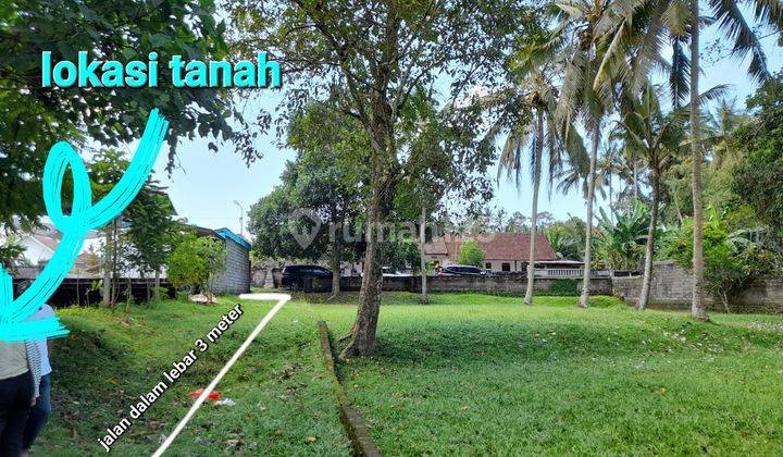 DIJUAL TANAH SAYAN UBUD SINGAKERTA GIANYAR 2