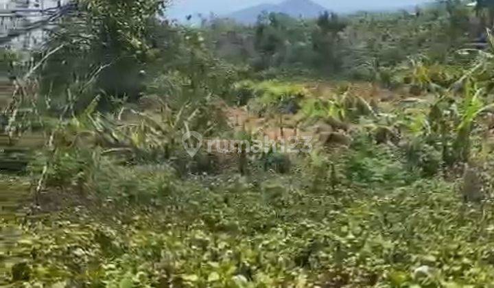 DIJUAL TANAH LETAK STRATEGIS PINGGIR JALAN UTAMA DI SUKASADA BULELENG  2