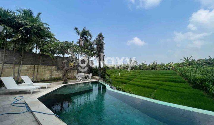 Ricefied View Villa On Berawa Beach Tibubeneng Canggu, Badung - Bali 1