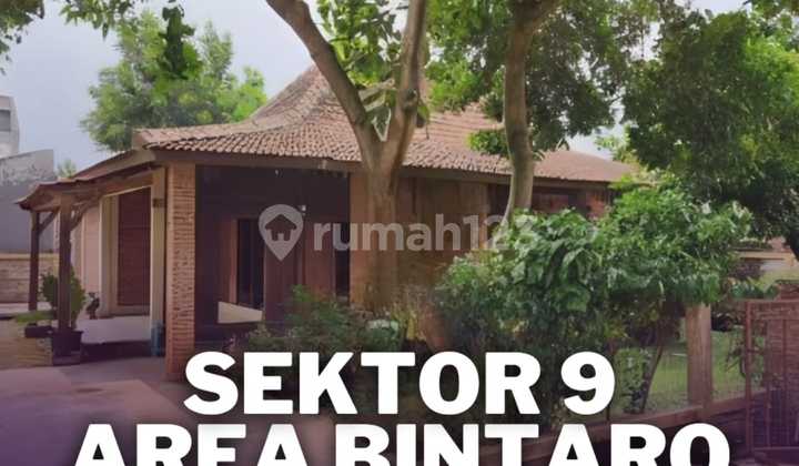 For Sale Beautiful Spacious Cheap House in Area Near Bintaro Sector 9