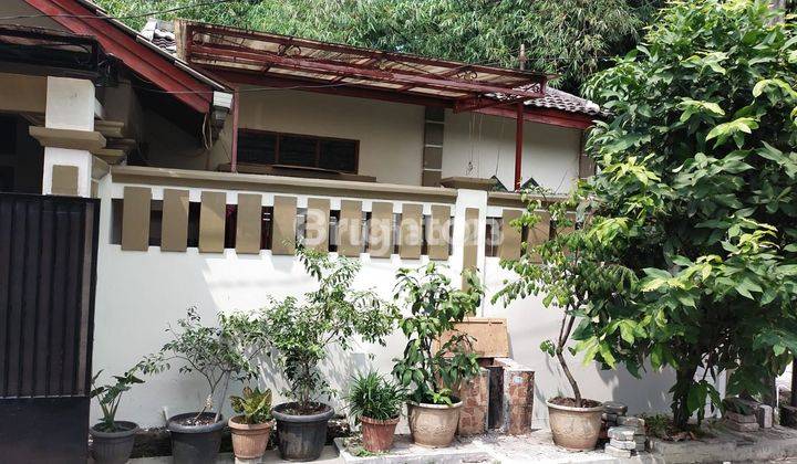 Rumah Cantik Dan Murah di Bumi Mutiara 2