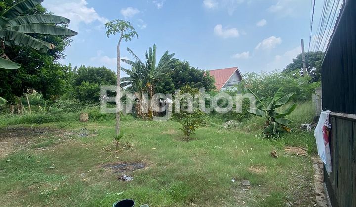 Large land for rent in Bojong Kulur.