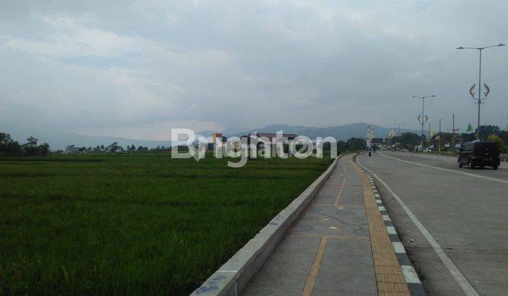 Tanah sawah 500 meter dari Exit tol Soreang 2