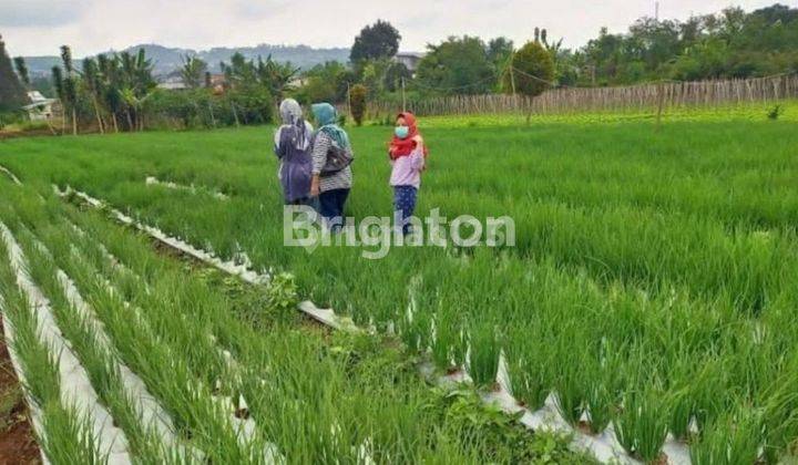 Kavling Tanah Lokasi Strategis Daerah Lembang 1