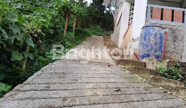 Rumah konsep villa plus kandang ayam plus ayamnya daerah Ciwidey 2