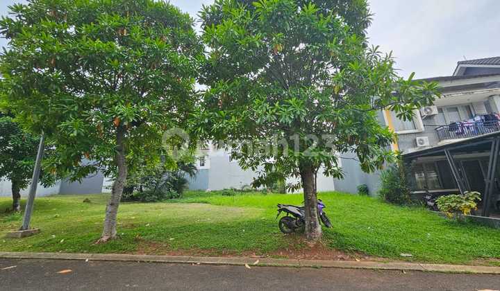 Delatinos BSD Hook Plot, Best Offer