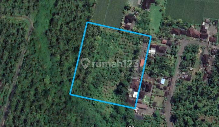 Land for Sale Fast in Jl Arjuna, Yehembang Jembrana Bali SHM 12,900 m2 1