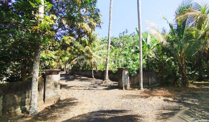 Land for Sale Fast in Jl Arjuna, Yehembang Jembrana Bali SHM 12,900 m2 2