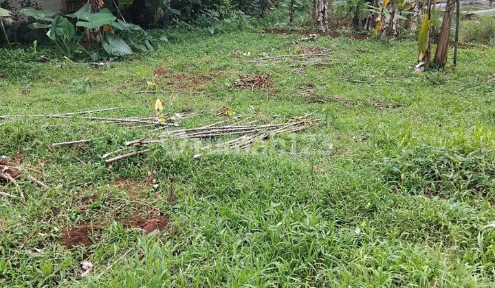 Dijual Tanah Strategis Di Gunung Bunder Bogor