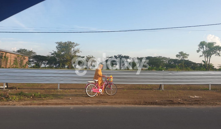 Tanah Jalan Embong Kerang Cerme Gresik Nol Jalan Sudah Urug