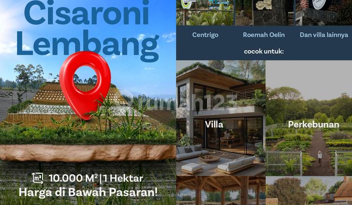 Dijual Kebun Sayuran dan Bunga di Lembang. Dijual Kebun Sayuran dan Bunga di Lembang.