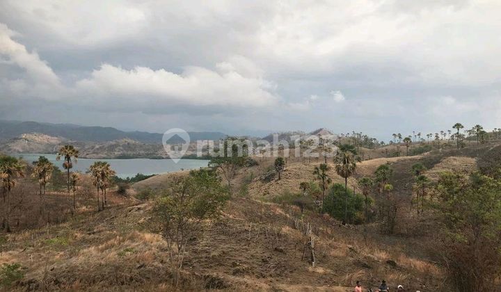 Tanah di Labuan Bajo Cocok untuk Resort atau Hotel Dekat Hotel Ayana Tanah di Labuan Bajo Cocok untuk Resort atau Hotel Dekat Hotel Ayana