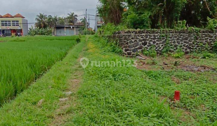 Rare Premium Land Near Kedungu Beach 2