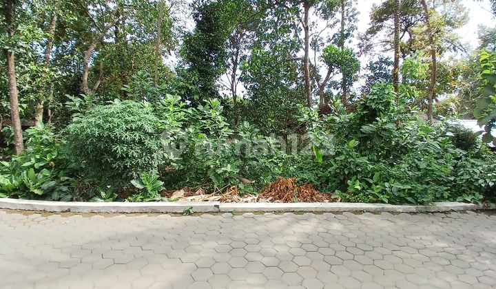 Land Near SMA N 2 Sleman