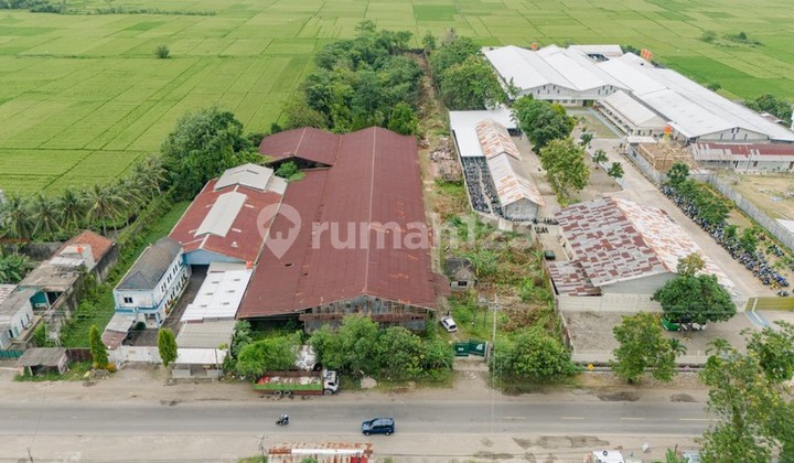 Strategic 1.3 Ha Land on the Main Route in Purbowangi Kebumen, Warehouse & Industrial Area, Purbowangi, Buayan, Kebumen