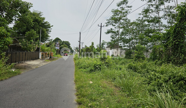 Lahan Produktif di Kawasan Asri Pandowoharjo 1.500 Meter Persegi Ideal untuk Cafe, Kost, atau Bisnis di Pandowoharjo Sleman Lahan Produktif di Kawasan Asri Pandowoharjo 1.500 Meter Persegi Ideal untuk Cafe, Kost, atau Bisnis di Pandowoharjo Sleman