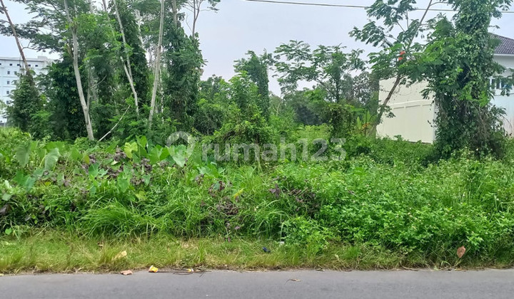 Lahan Produktif di Kawasan Asri Pandowoharjo 1.500 Meter Persegi Ideal untuk Cafe, Kost, atau Bisnis di Pandowoharjo Sleman