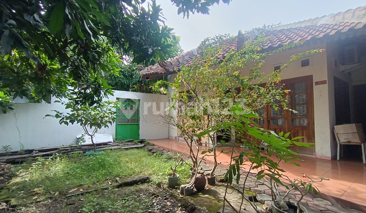 Rumah di Pusat Kota Dekat Kraton 2