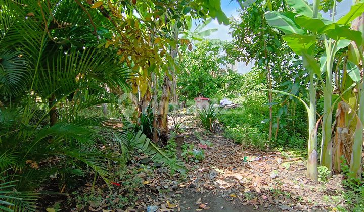 Land Near Jogja Solo Main Road