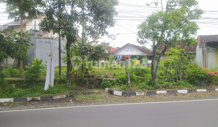 Large Yard Land 224 Square Meters Location Near Sleman City Hall Large Yard Land 224 Square Meters Location Near Sleman City Hall