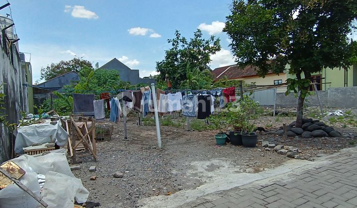 Tanah Kavling Murah Dekat Jalan Damai
