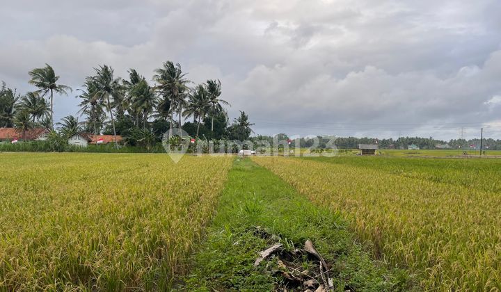 Land 753 Square Meters Near Airport Land 753 Square Meters Near Airport