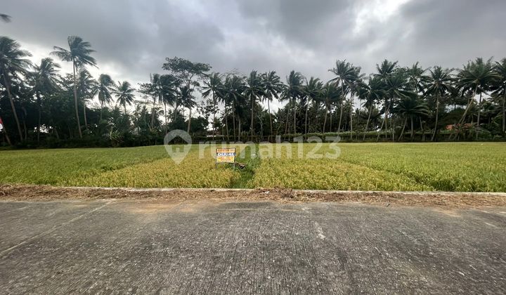 Land 753 Square Meters Near Airport Land 753 Square Meters Near Airport