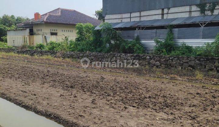 Jual Murah Tanah Pinggir Jalan Aspal Diteluk Naga Rawalini 2