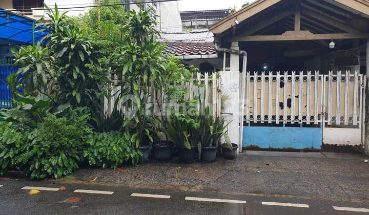 Rumah Lama 1 Lantai di Jl Kayu Putih Tengah Pulo Gadung Jakarta Timur