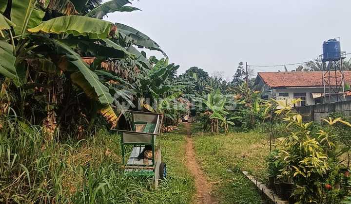 Strategic Vacant Land on Jl. Gg H Neming, Lb Bulus, Cilandak, South Jakarta Strategic Vacant Land on Jl. Gg H Neming, Lb Bulus, Cilandak, South Jakarta