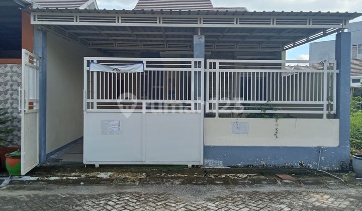 Rumah Bagus dan Murah di Menganti Gresik Rumah Bagus dan Murah di Menganti Gresik